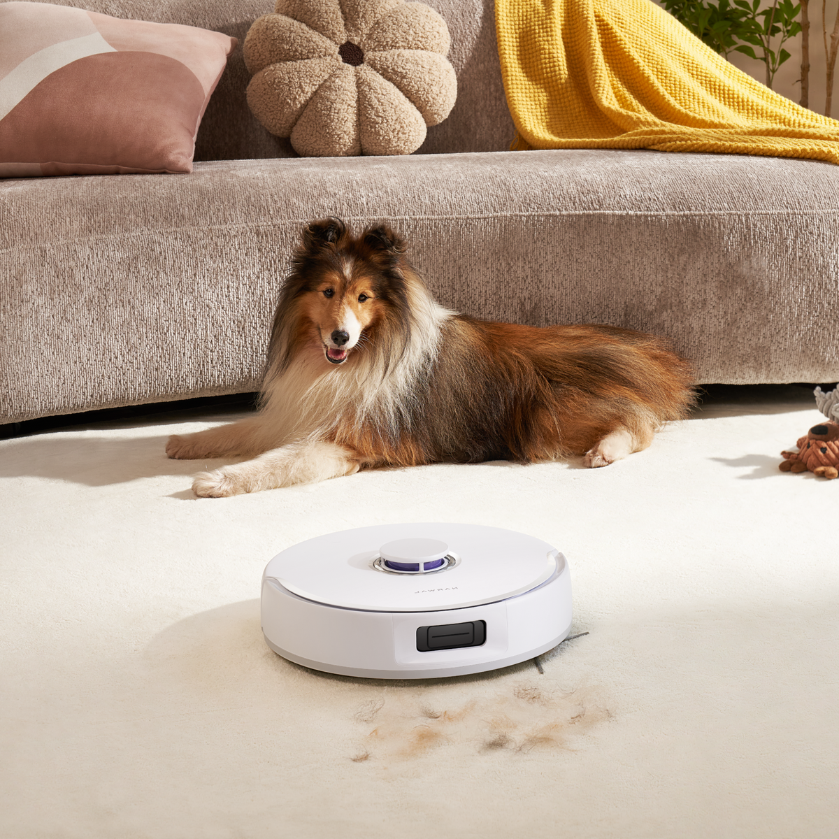 Scene image for desktop