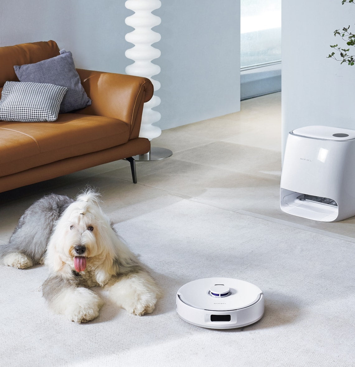 A white Narwal robot vacuum and mop on a beige carpet, cleaning near a dog resting on the floor, with a tan sofa and a Narwal self-cleaning base station in the background.