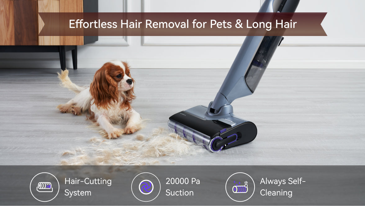 Scene image for desktop