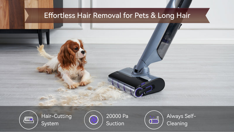 Scene image for mobile