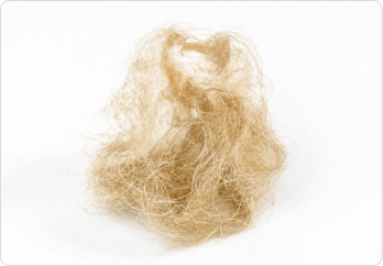 Pet hair