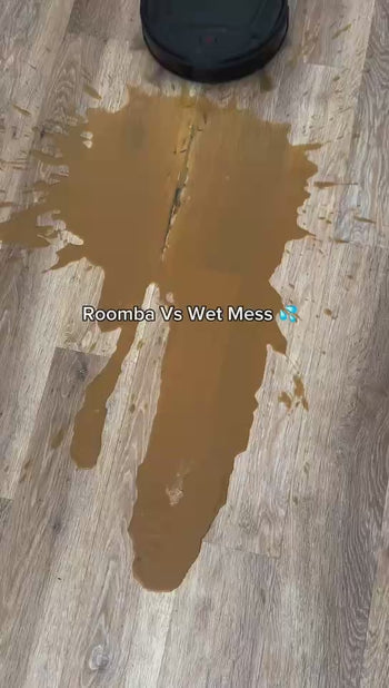 preview_images/cc027ea9151140a58ee8a0b619e3c702.thumbnail.0000000000