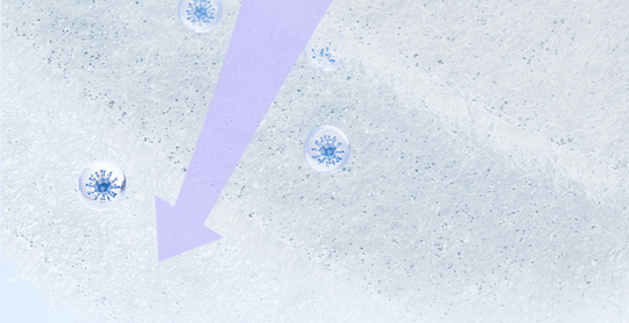 product-desciption-s10pro-Antibacterial_Filter-pc-02